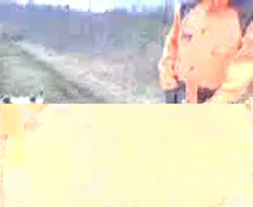 MOV0015A