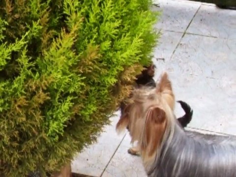 mes bébés à 2 mois et 1 semaine