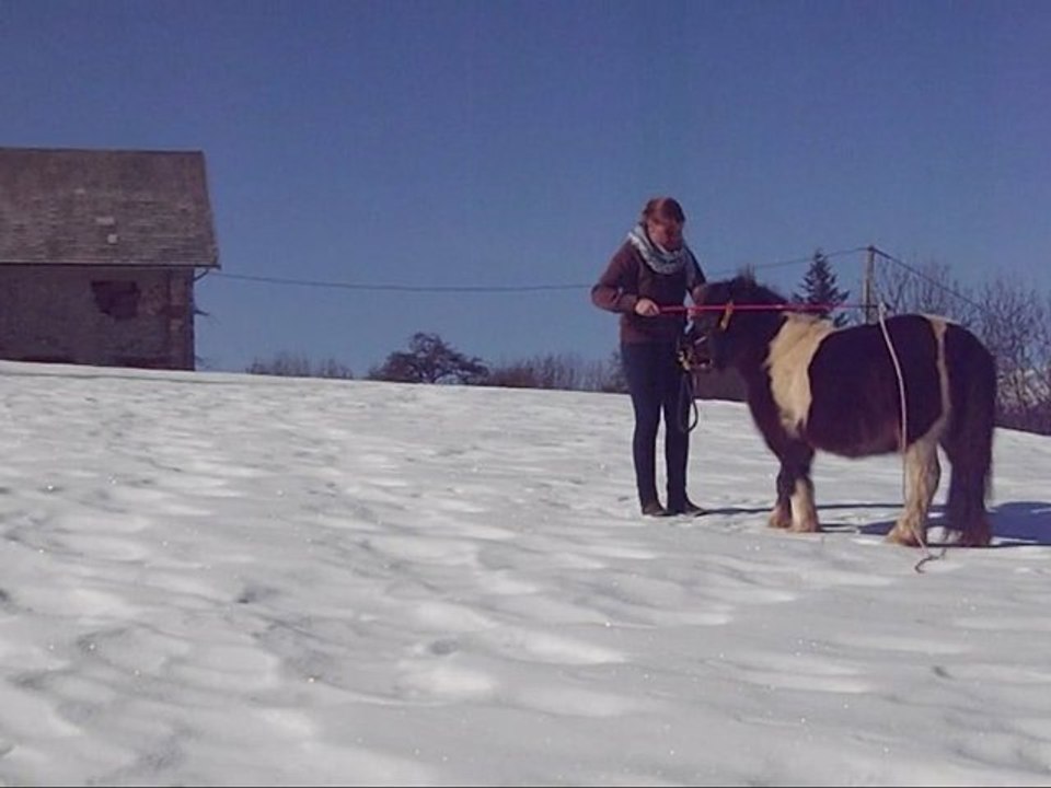 désensibilisation de loustic