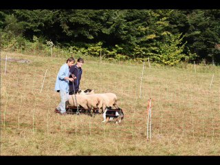 ANNIVERSAIRE COOPER-4 ans