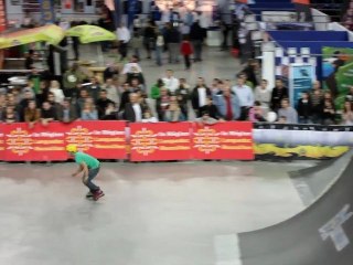 Fise expérience 2010 Roller edit