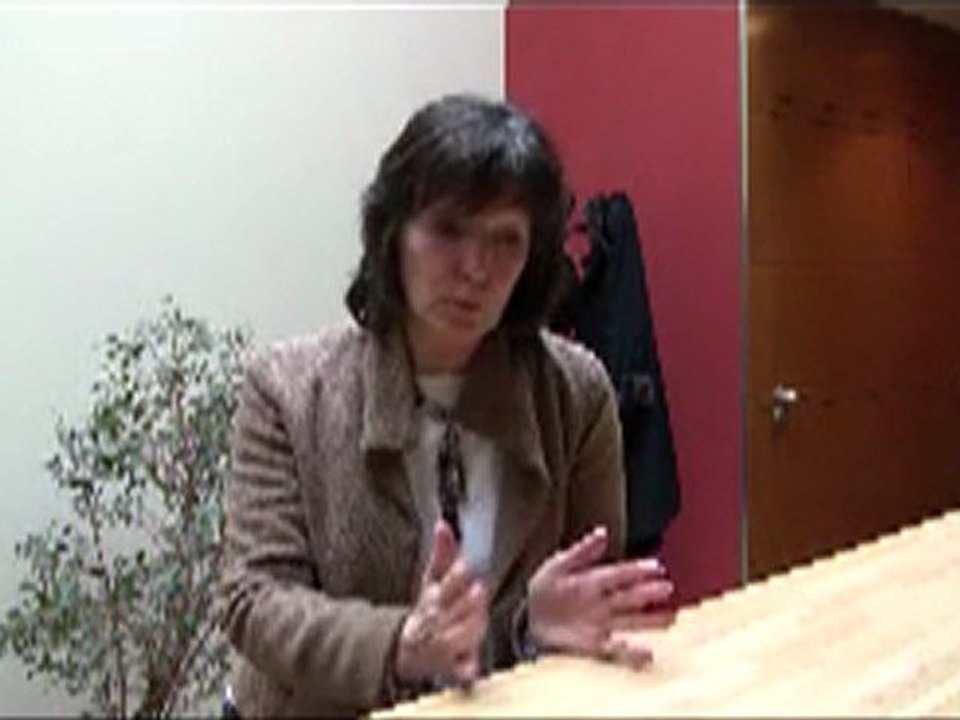 Cantonales 2011 la réussite économique