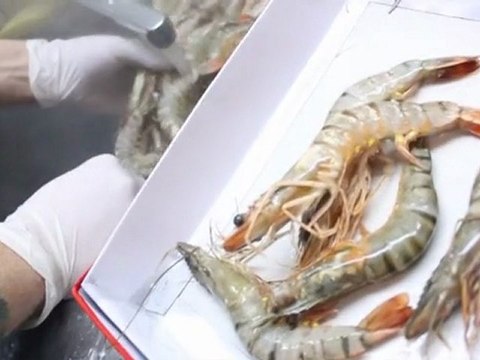 Москва: Вкусное предложение от Арт-кафе «Выставка»