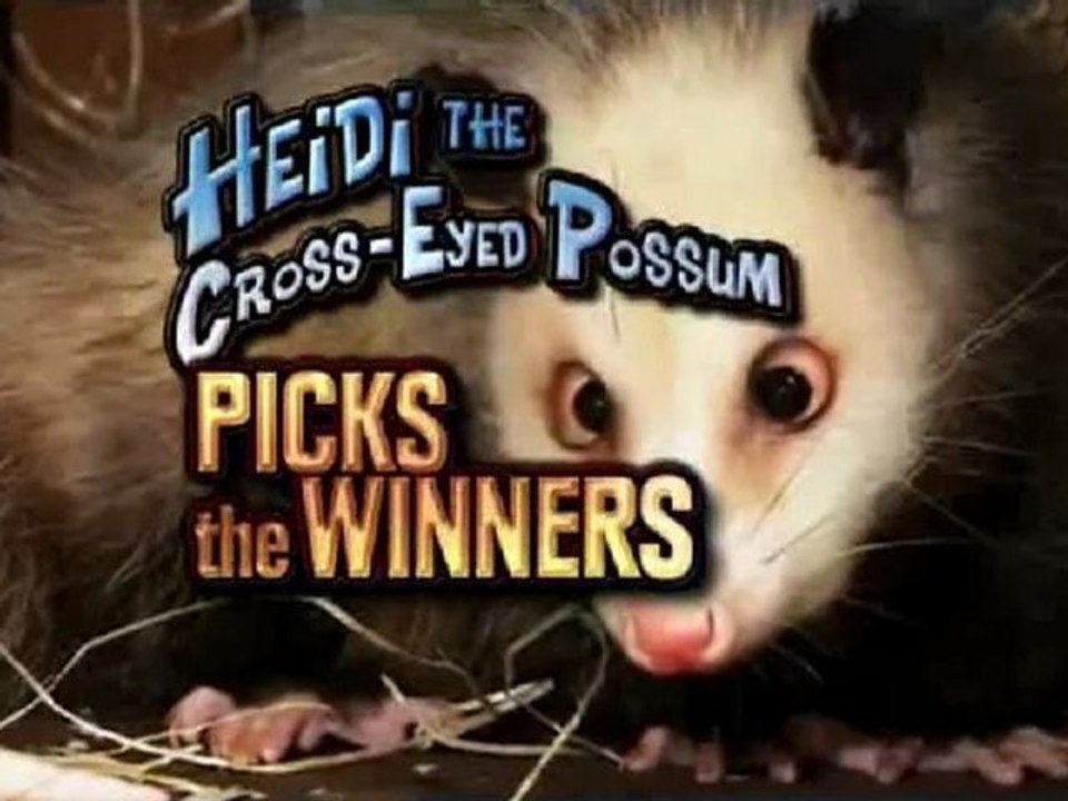 Beutelratte Heidi, Oscar Orakel