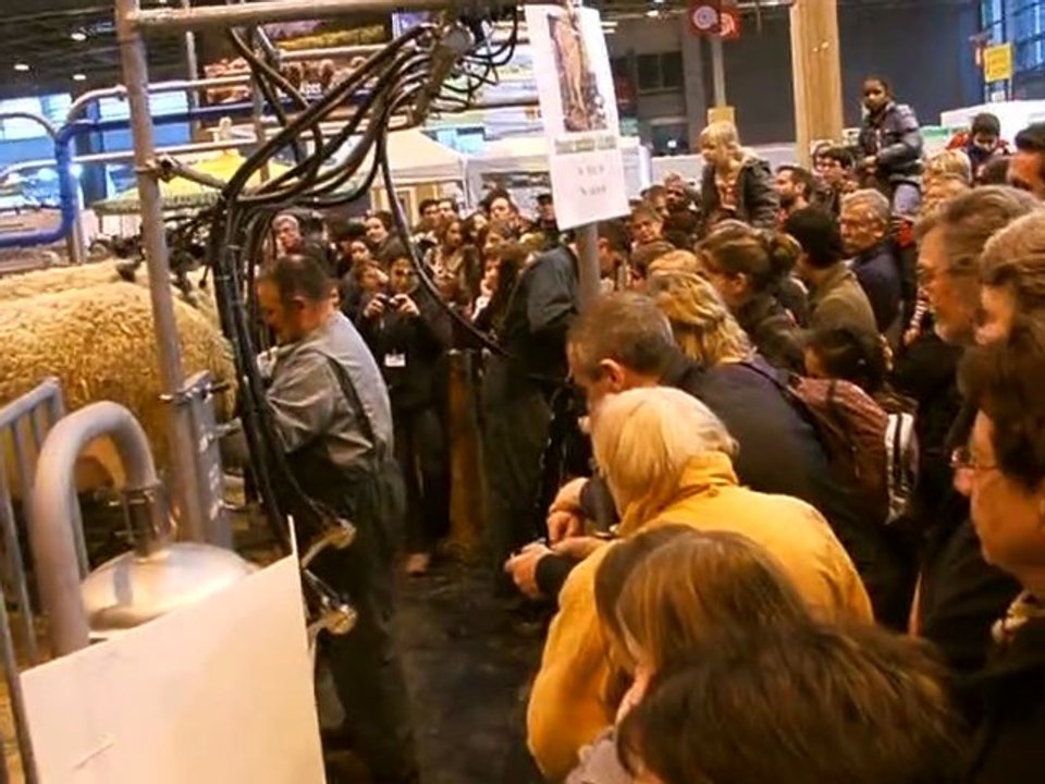 Traite des brebis LacaunesSalon de l'agriculture 2011