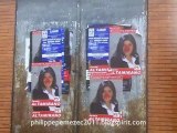 Cantonales 2011: Affichage Sauvage du candidat PS de Clamart