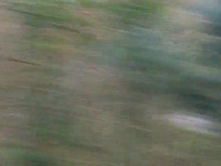 éric brunson-cédric mondon