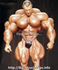 Weight Lifting Supplements