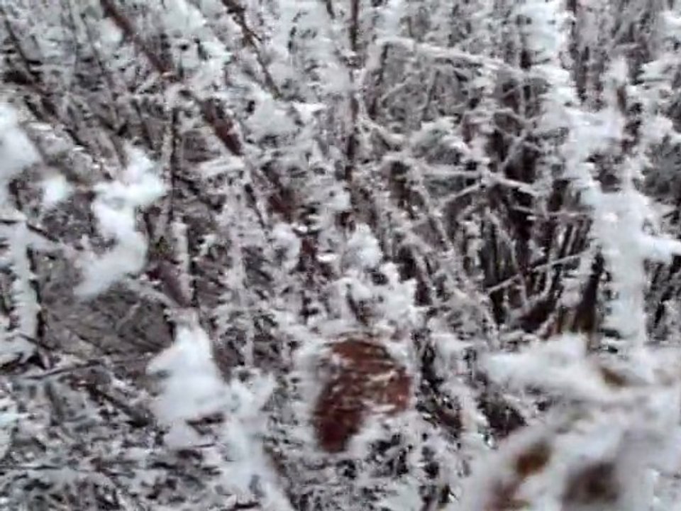 SMRZNUTO- COLD