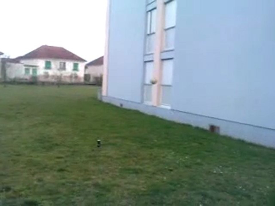 bryan7