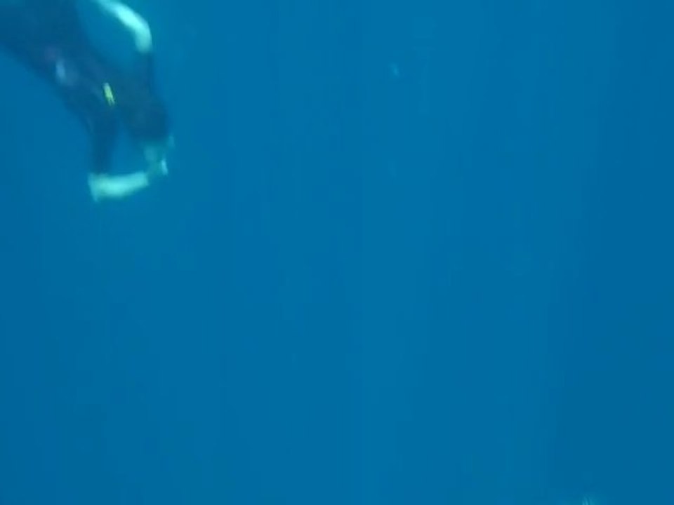 gaelle tortue aux maldives