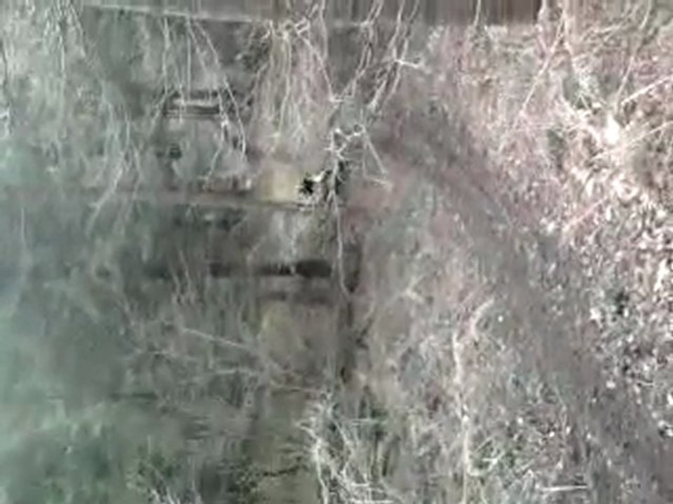 Vidéo0084