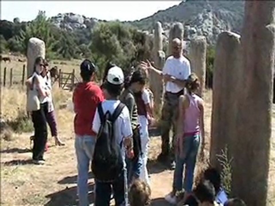 LEVIE SARTE 2006 i Stantari G