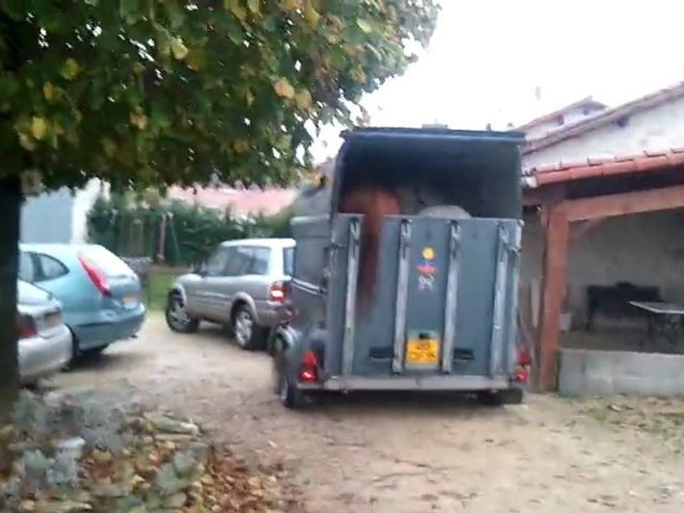 l'arrivé de Charly et Havane chez Sarah.