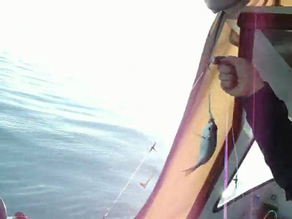 Antalya derinsu avı 26 şubat