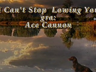 I Can't Stop Loving You