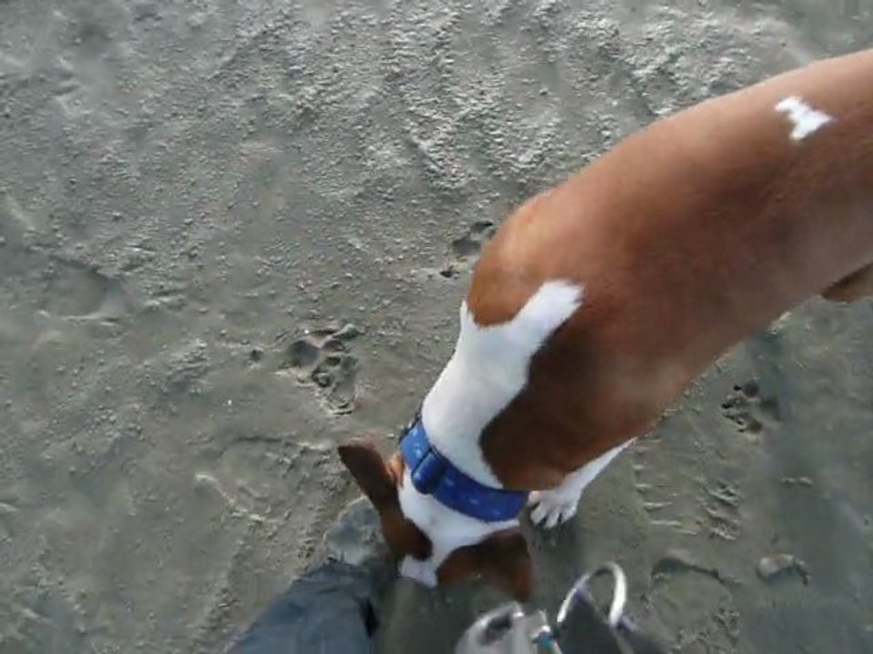 27.02.11