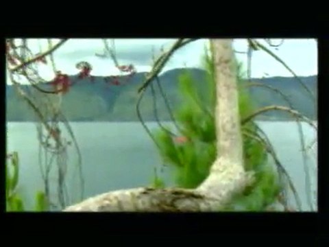 MAGNIFIQUE !!!! YA SAYYIDI YA RASULALLAH !!!!