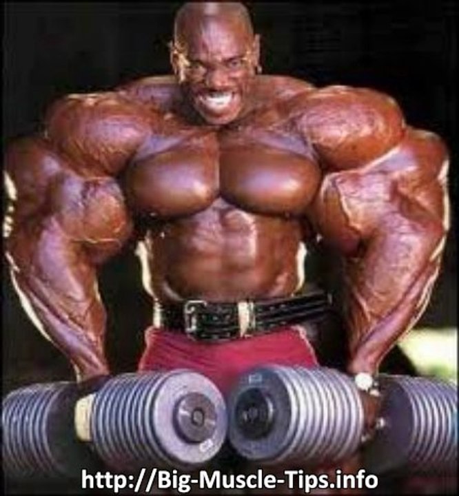 Muscle Pills