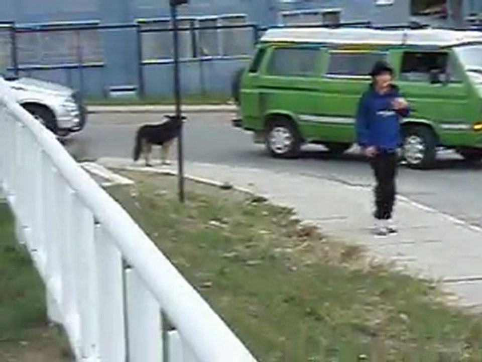MARCHA POR  LA PATAGONIA SIN REPRESAS