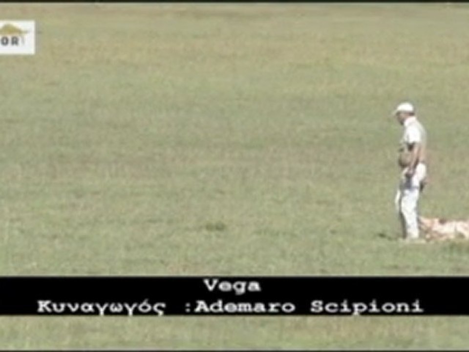 VEGA - Ademaro Scipioni
