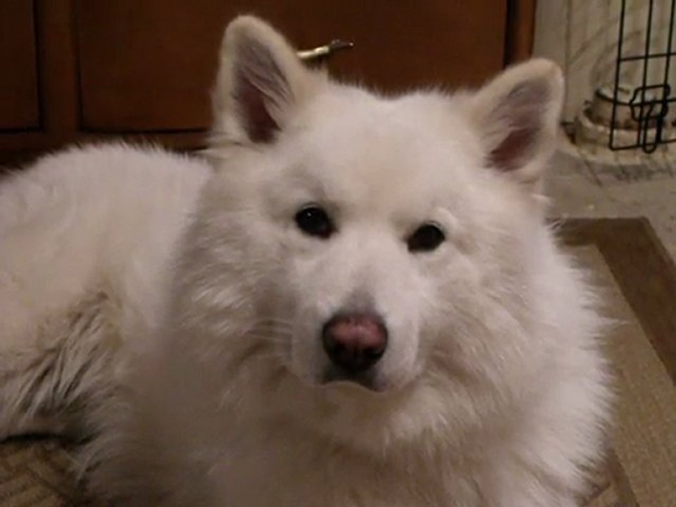20-02-2011-VID1