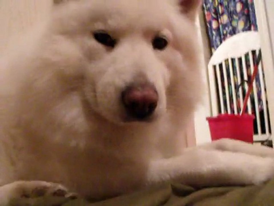 27-02-2011-VID (3)
