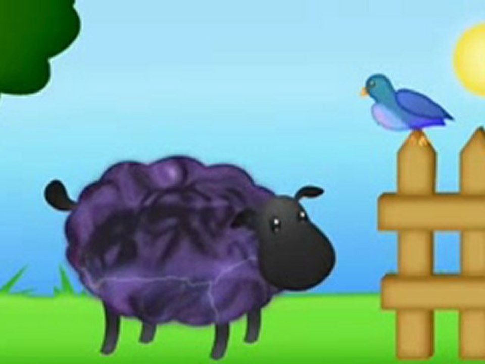Black Hole Sheep