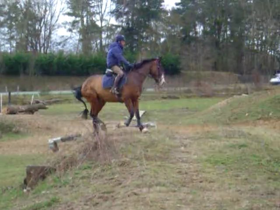 Prince contre haut