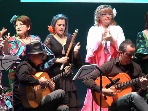 270211 dia andalucia