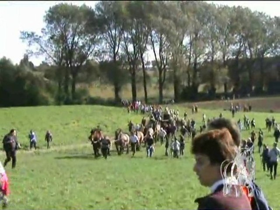 734e Tour Sainte Gertrude, Nivelles 2010