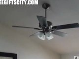 Ceiling Fan Fail LOL