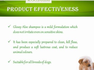 Dog-Grooming-Shampoo