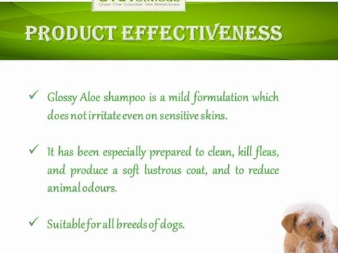 Dog-Grooming-Shampoo
