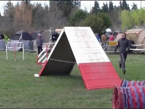 Buck Agility Mouriès 27/02/11