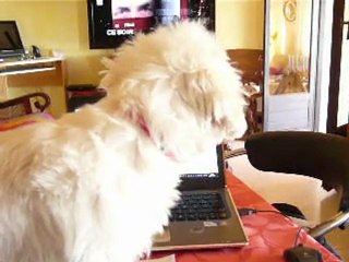 Après le brossage journalier