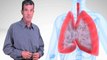 Mesothelioma Information Facts in San Diego from Lawyers