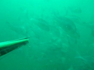 TopSub SPAIN Barco Hundido