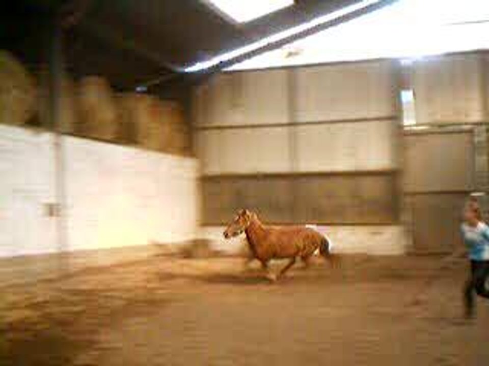 ONEIL3