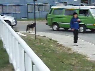 PSR MARCHA POR  LA PATAGONIA SIN REPRESAS