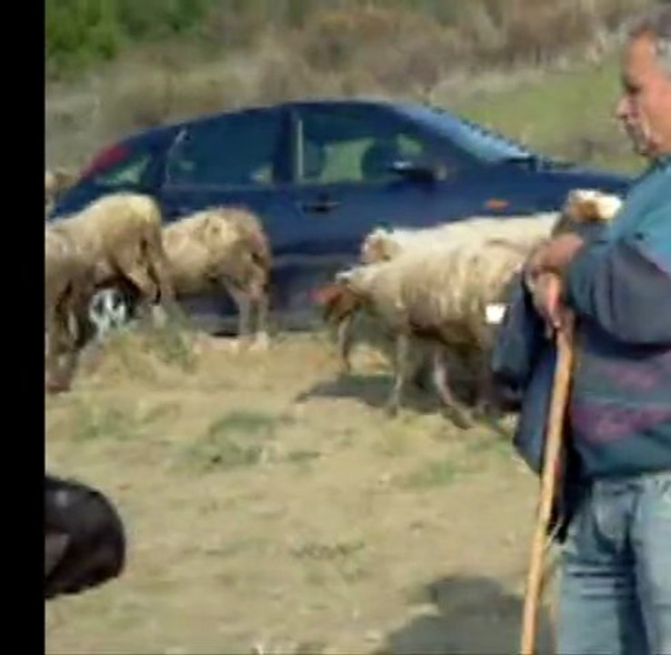 Legering al Locone