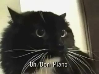 www.funimix.com - "Oh Long Johnson" Cat