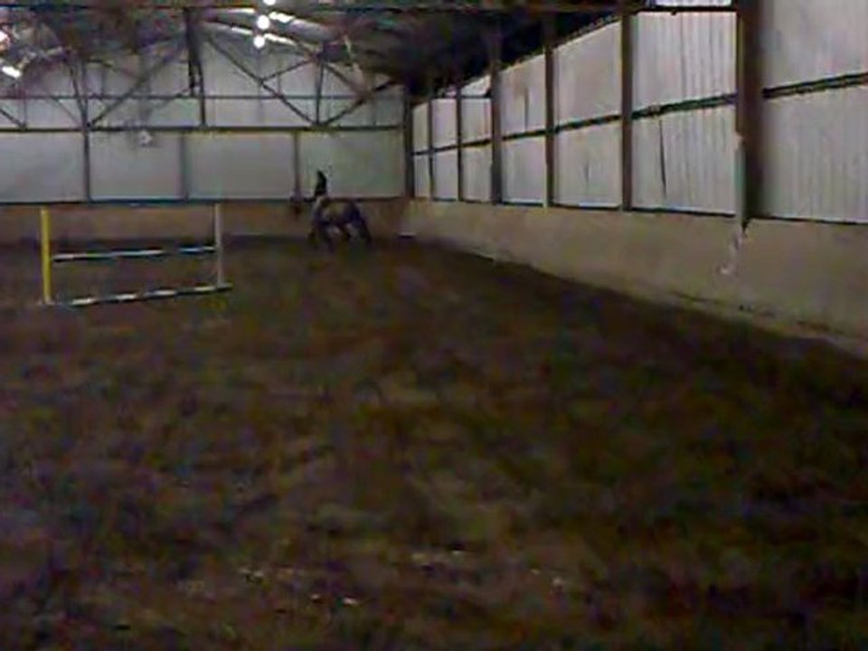 Einstein 25 fev 2011 - 1er sauts