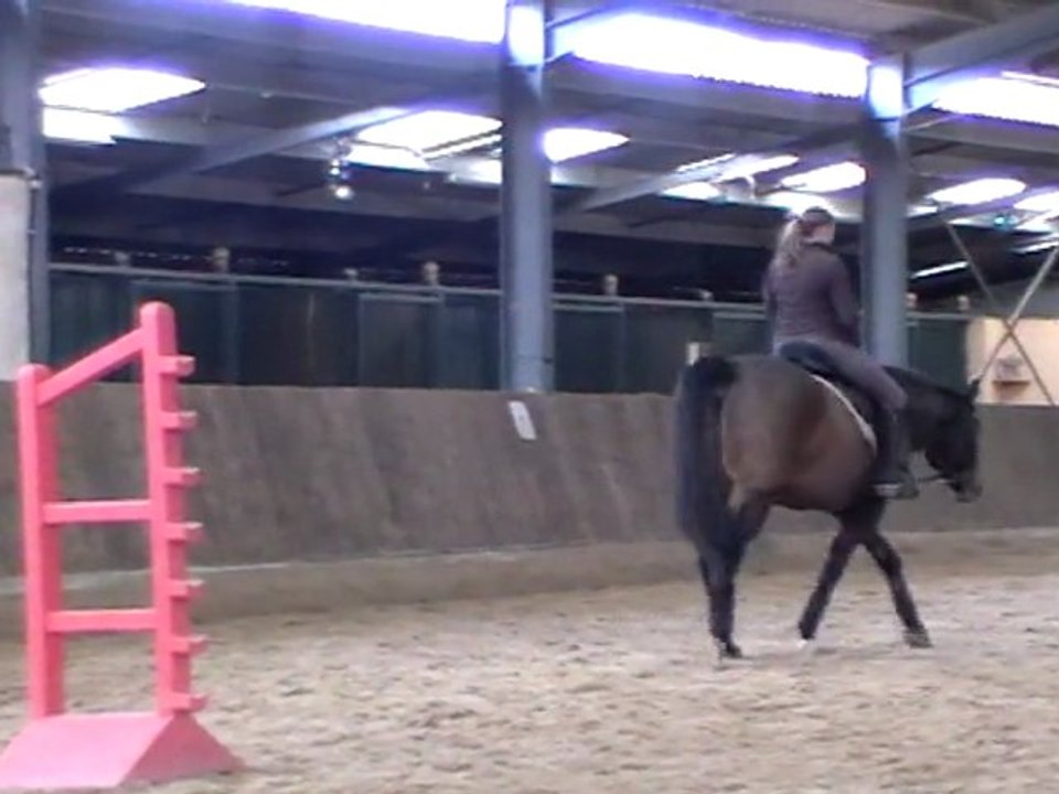 Don Fire diriger au pas rênes longues