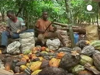 Une catastrophe humanitaire en cours en Côte d'Ivoire