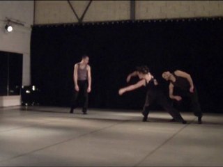 "Accepter comme ami" Compagnie Damien Launes janvier 2011