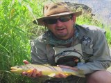 Ouray Ridgway Colorado Fly & Float Fishing Rigs