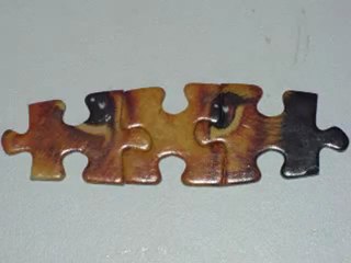 Understanding the Scientific Method