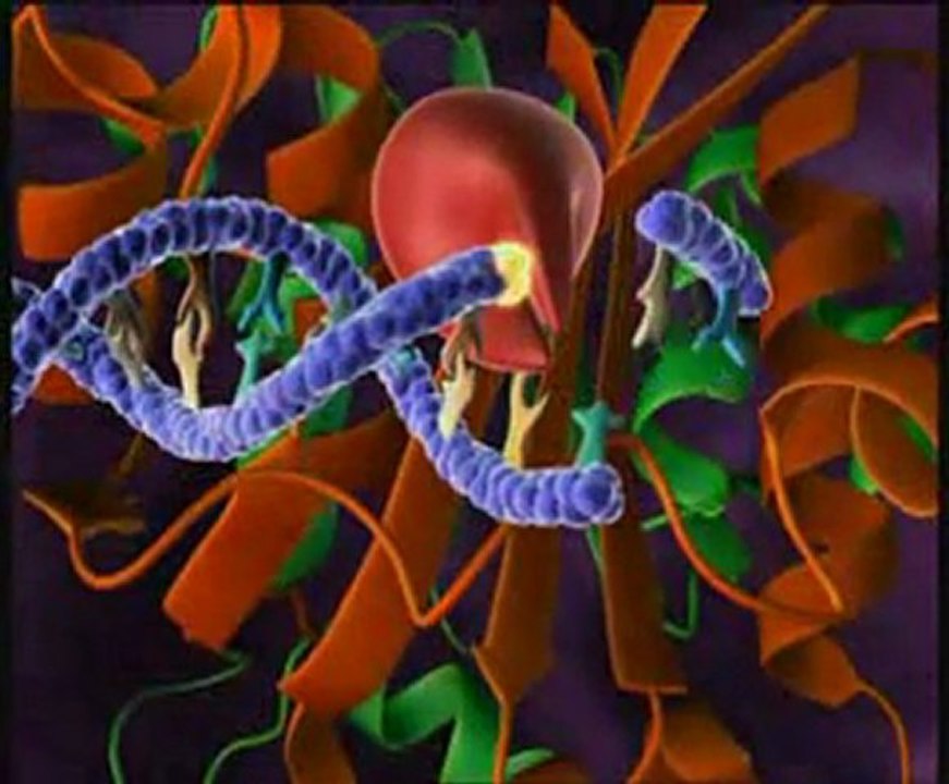 HIV Replication 3D Animation