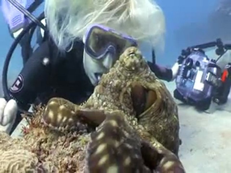 Ningaloo reef
